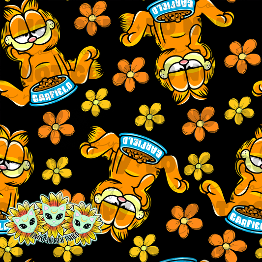Orange cat