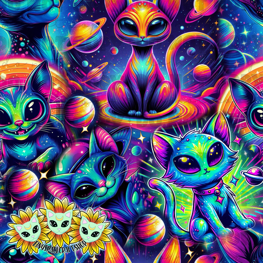 Space cat