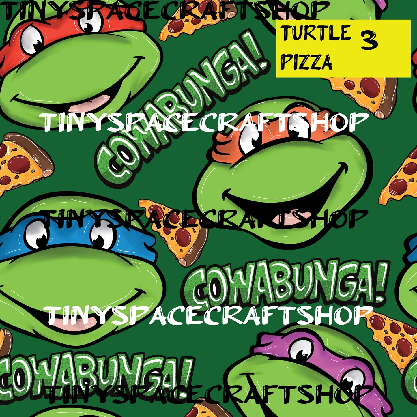 Turtle pizza