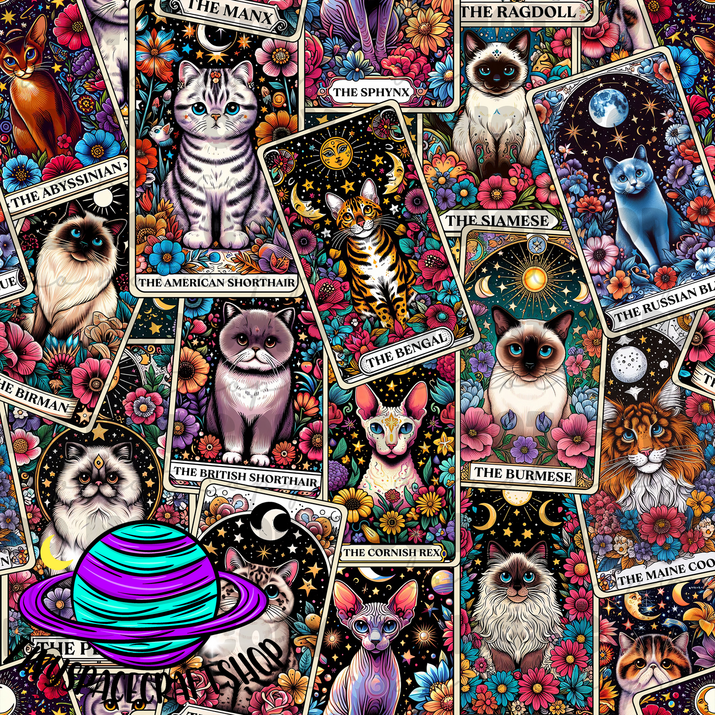 Cats