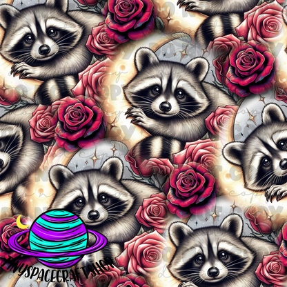 raccoon